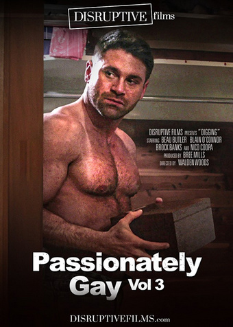 Passionately Gay vol. 3
