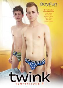 Twink Temptations 4