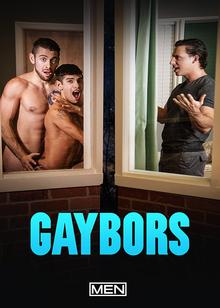 Gaybors