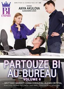 Partouze bi au bureau vol.6